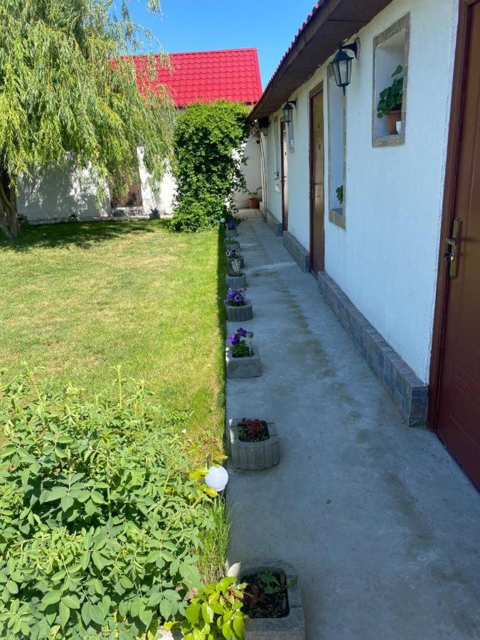 Casa david Corbu (Constanta) Exterior foto