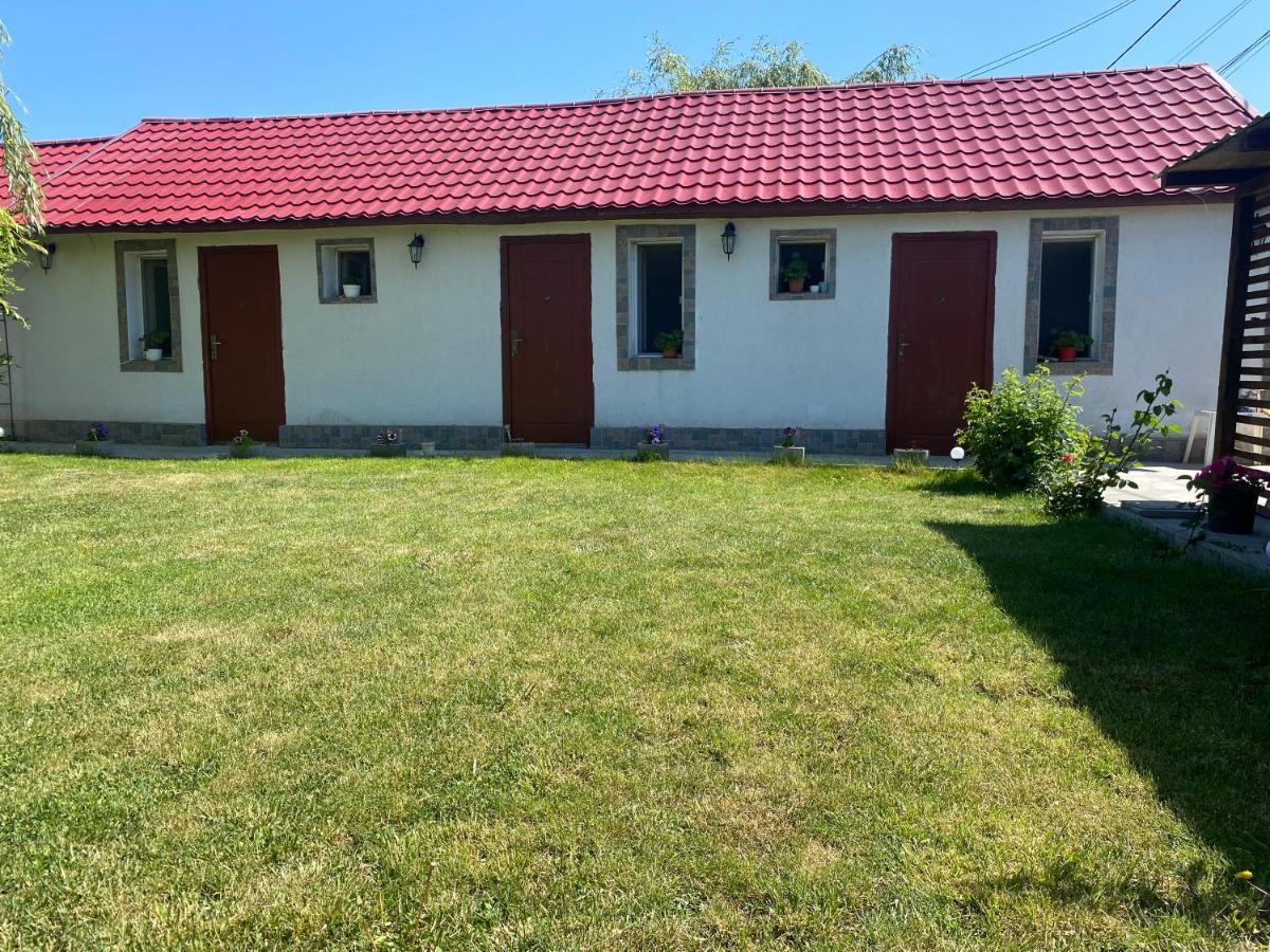 Casa david Corbu (Constanta) Exterior foto